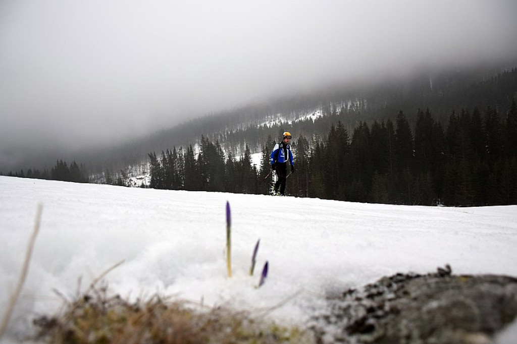 Puchar KW i SN PTT Zakopane im. J. Oppenheima i Puchar Śnieżnej Pantery