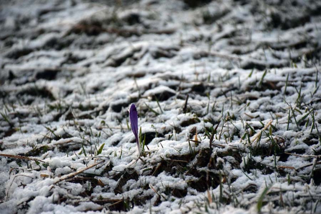 Słońce, śnieg i zmienna pogoda. Urokliwy wieczór na Podhalu