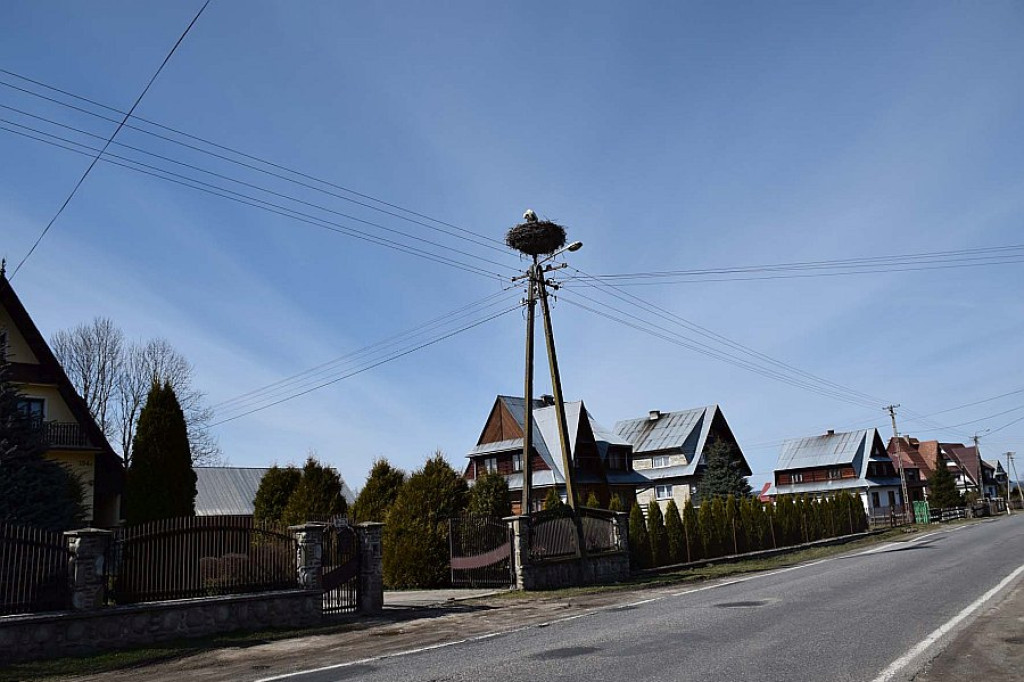 Wiosna na Podhalu - już jest!