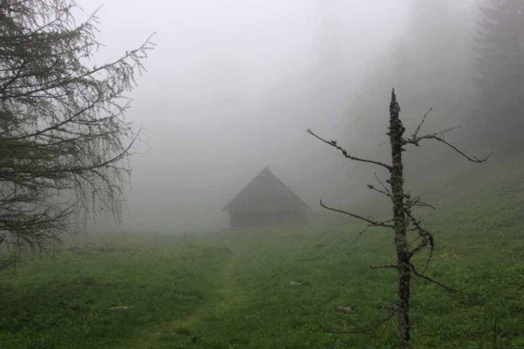 Tajemnicza i zamglona Dol. Strążyska