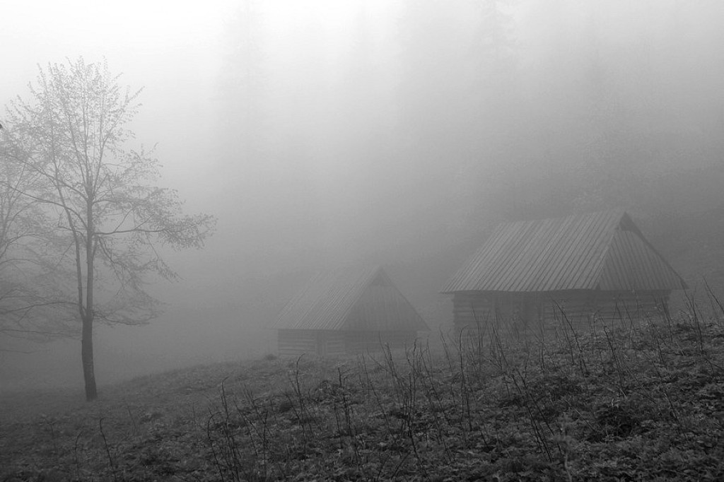 Tajemnicza i zamglona Dol. Strążyska
