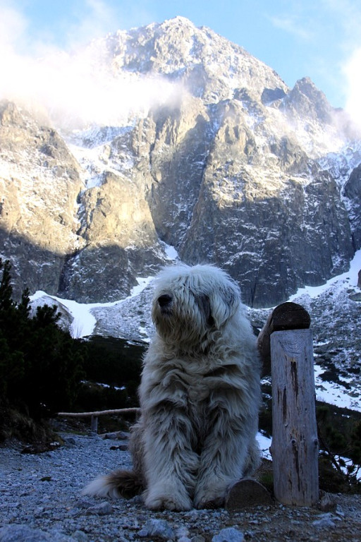 Tatry odsłoniły swoje piękno. Wspaniały spektakl nad Zielonym Stawem Kieżmarskim