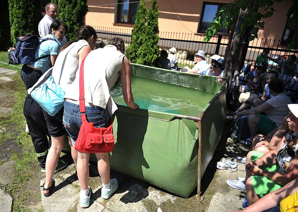 18. Pielgrzymka Sursum Corda Zakopane - Ludźmierz