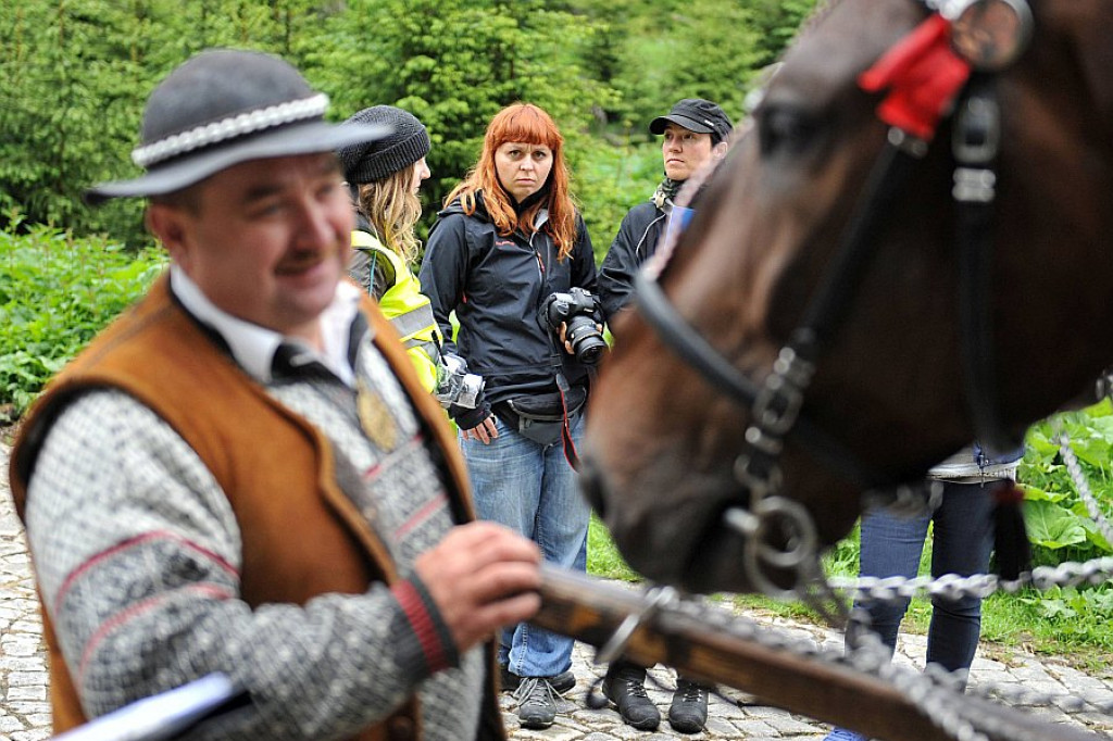 Okresowe badania koni z Morskiego Oka