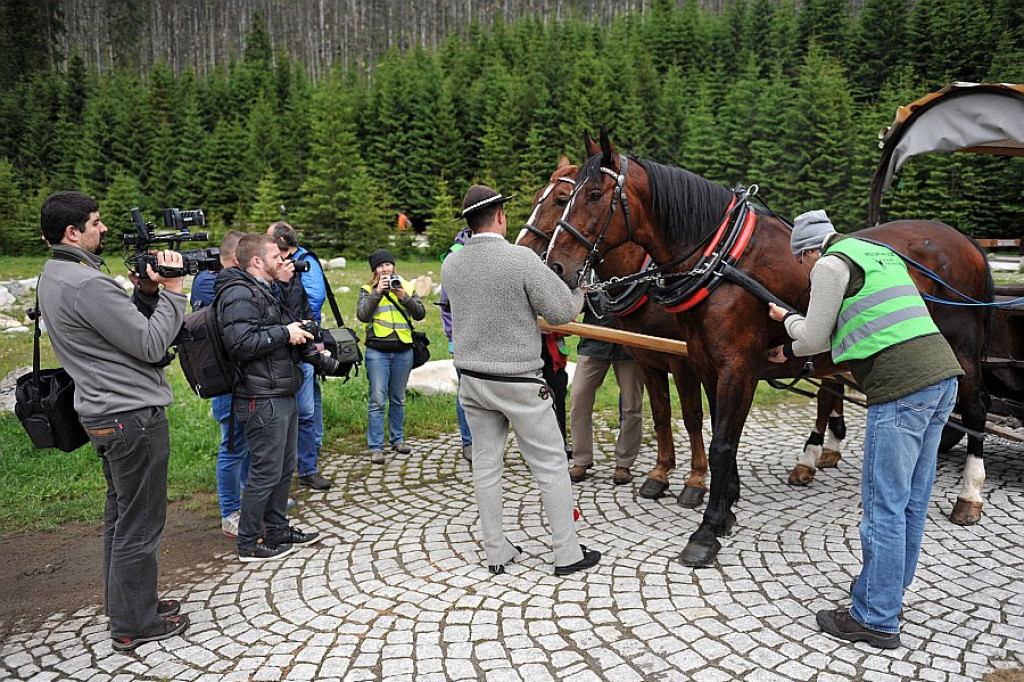 Okresowe badania koni z Morskiego Oka