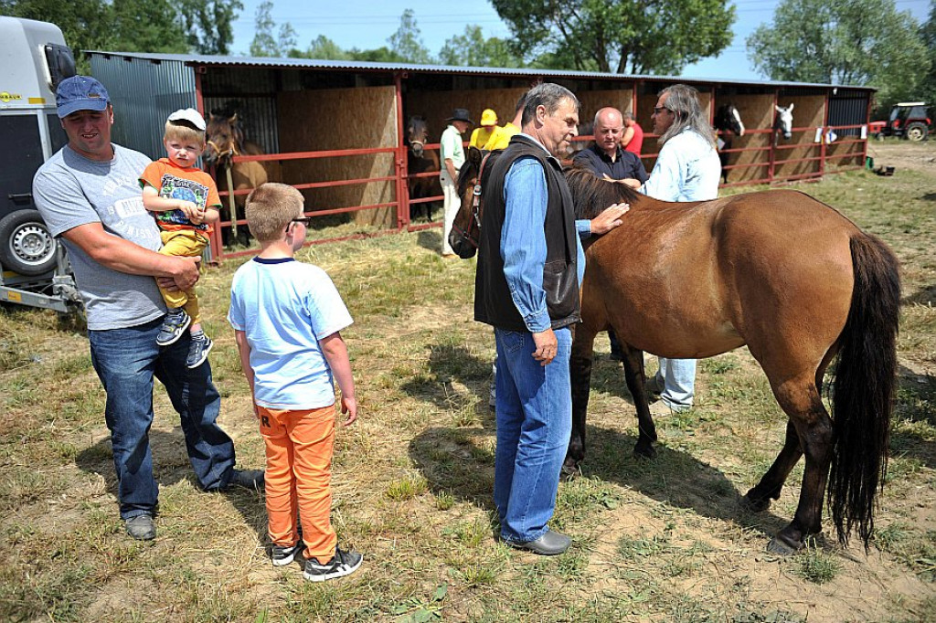 IV Podhalańska Wystawa Zwierząt Hodowlanych w Ludźmierzu