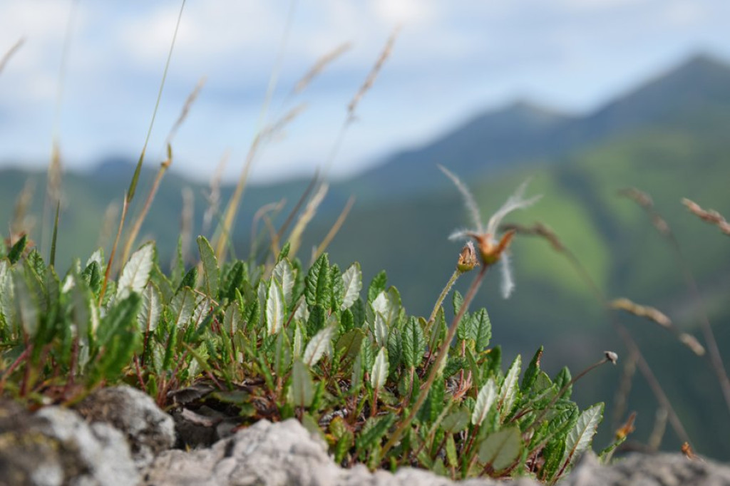 Urokliwe Tatry Zachodnie