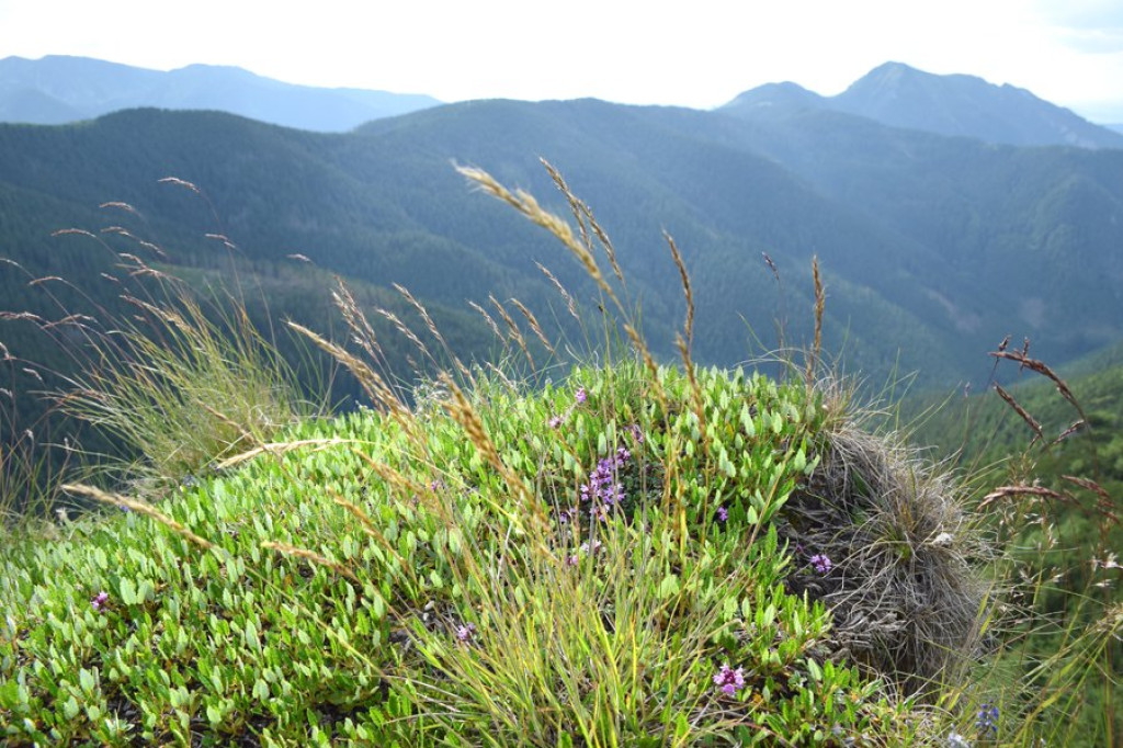 Urokliwe Tatry Zachodnie