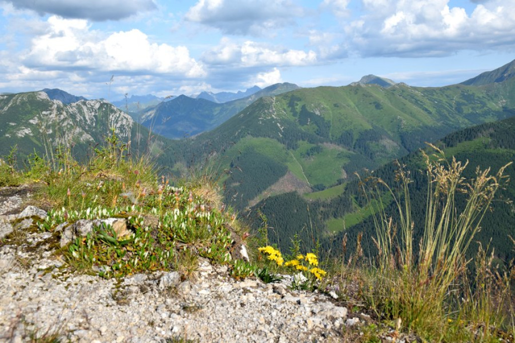 Urokliwe Tatry Zachodnie