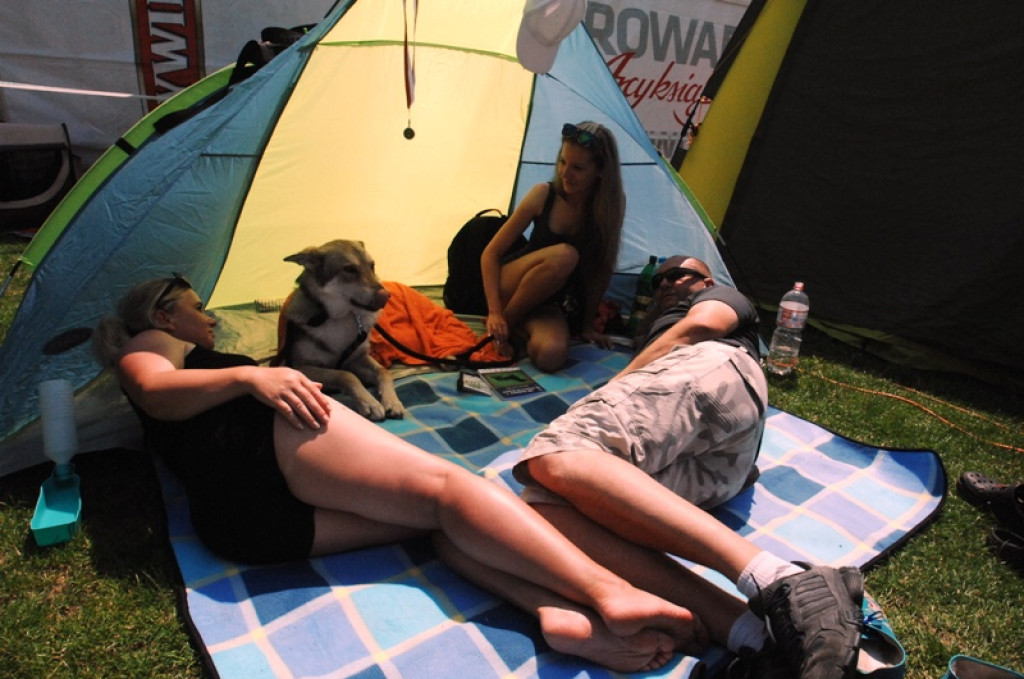 XIX Krajowa Wystawa Psów Rasowych w Nowym Targu - dzień drugi