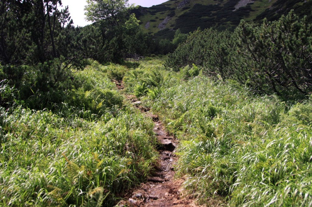 Słowackie Tatry Zachodnie: Puste i piękne szlaki