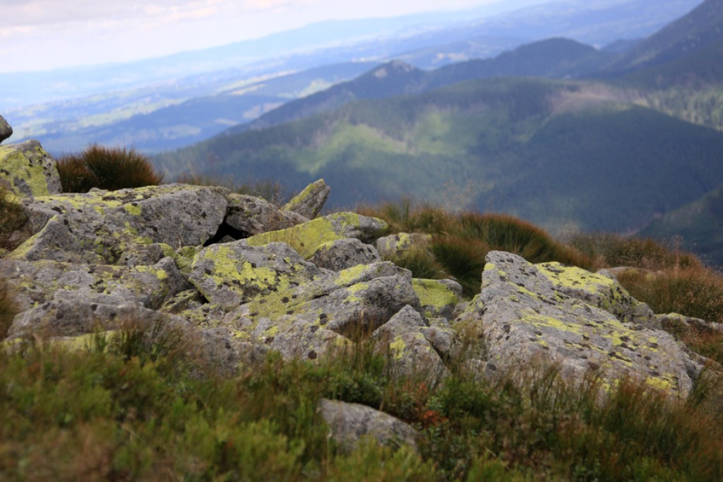 Słowackie Tatry Zachodnie: Puste i piękne szlaki