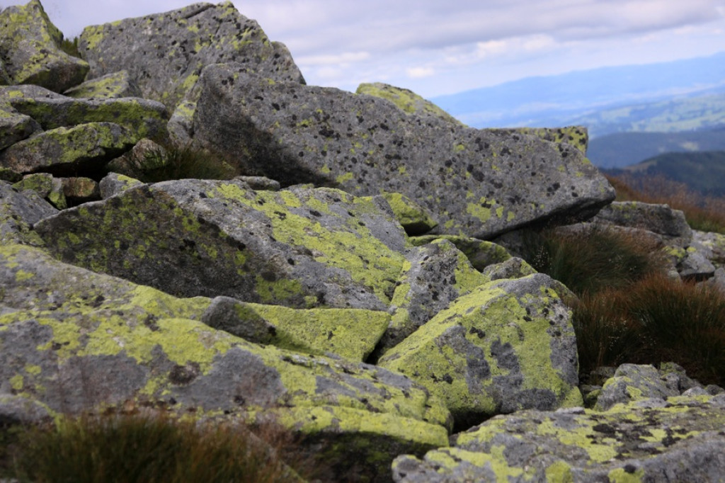 Słowackie Tatry Zachodnie: Puste i piękne szlaki