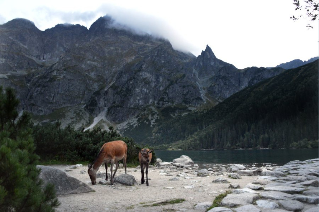 Rozżarzone szyty, mroczny Mnich i posępne Morskie Oko o wieczorowej porze