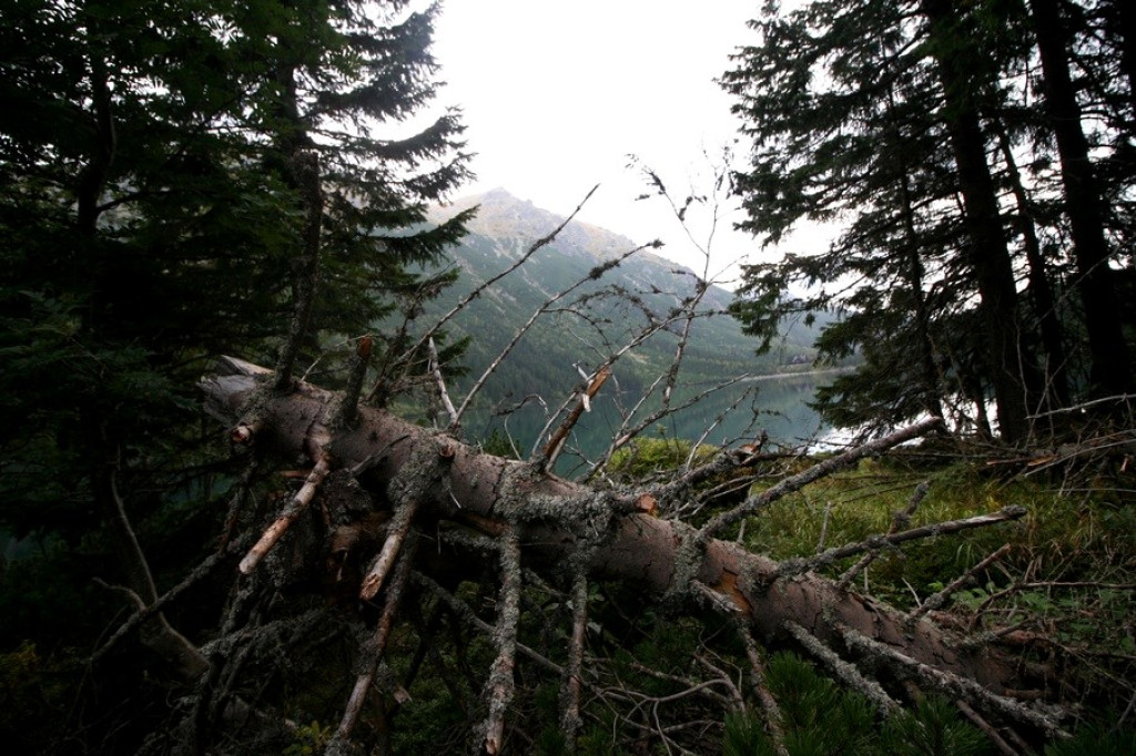 Morskie Oko i Czarny Staw pod Rysami w piątkowe popołudnie