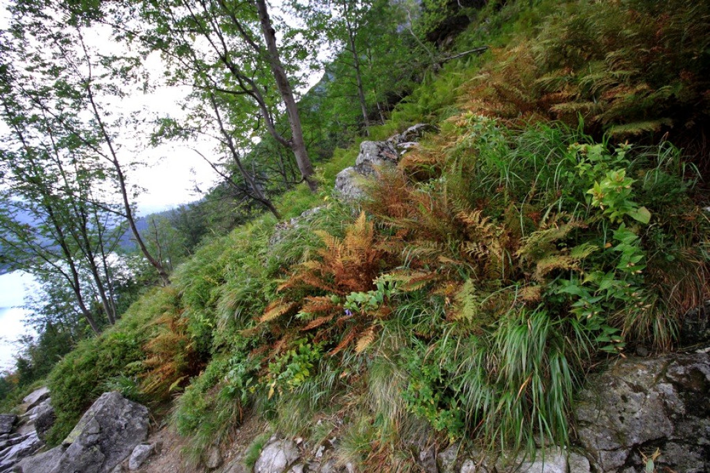 Morskie Oko i Czarny Staw pod Rysami w piątkowe popołudnie