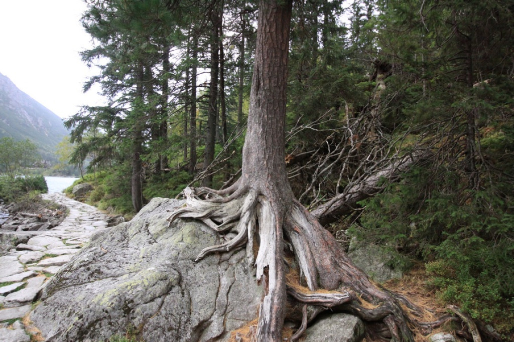 Morskie Oko i Czarny Staw pod Rysami w piątkowe popołudnie