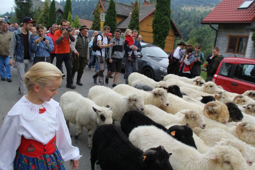 Babiogóska Jesień