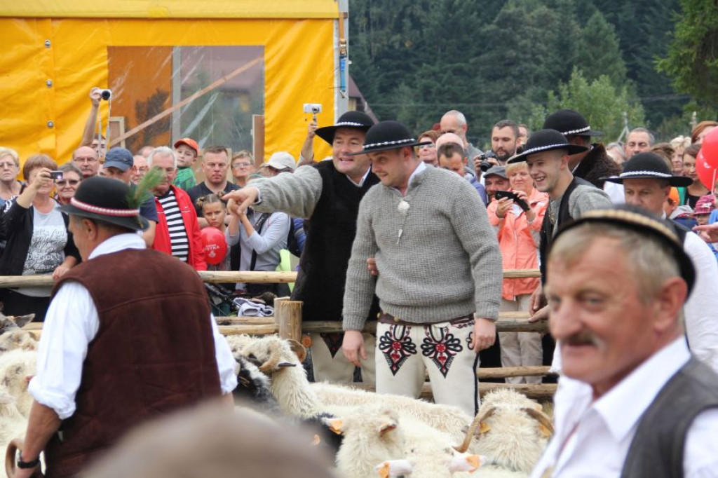 Babiogóska Jesień