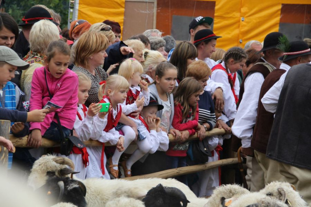 Babiogóska Jesień