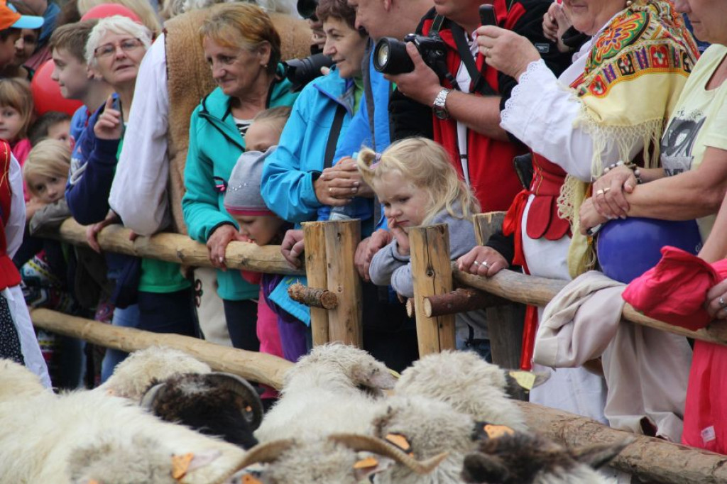 Babiogóska Jesień