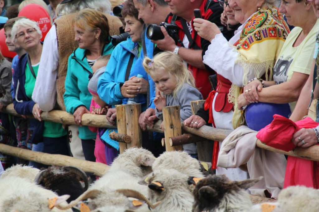 Babiogóska Jesień