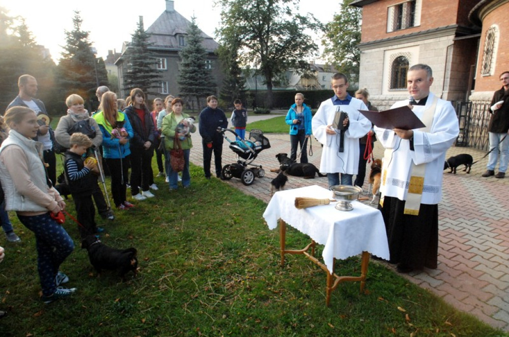 Światowy Tydzień Zwierząt rozpoczęty
