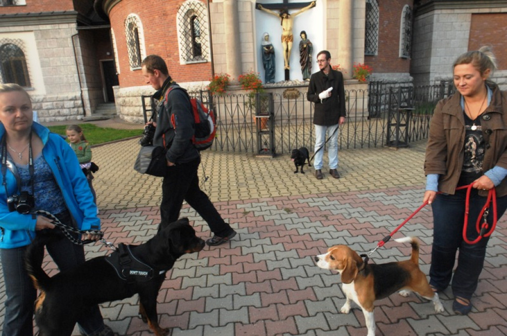 Światowy Tydzień Zwierząt rozpoczęty