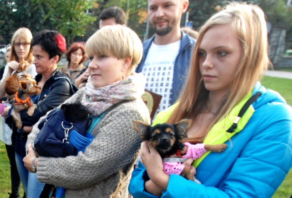 Światowy Tydzień Zwierząt rozpoczęty