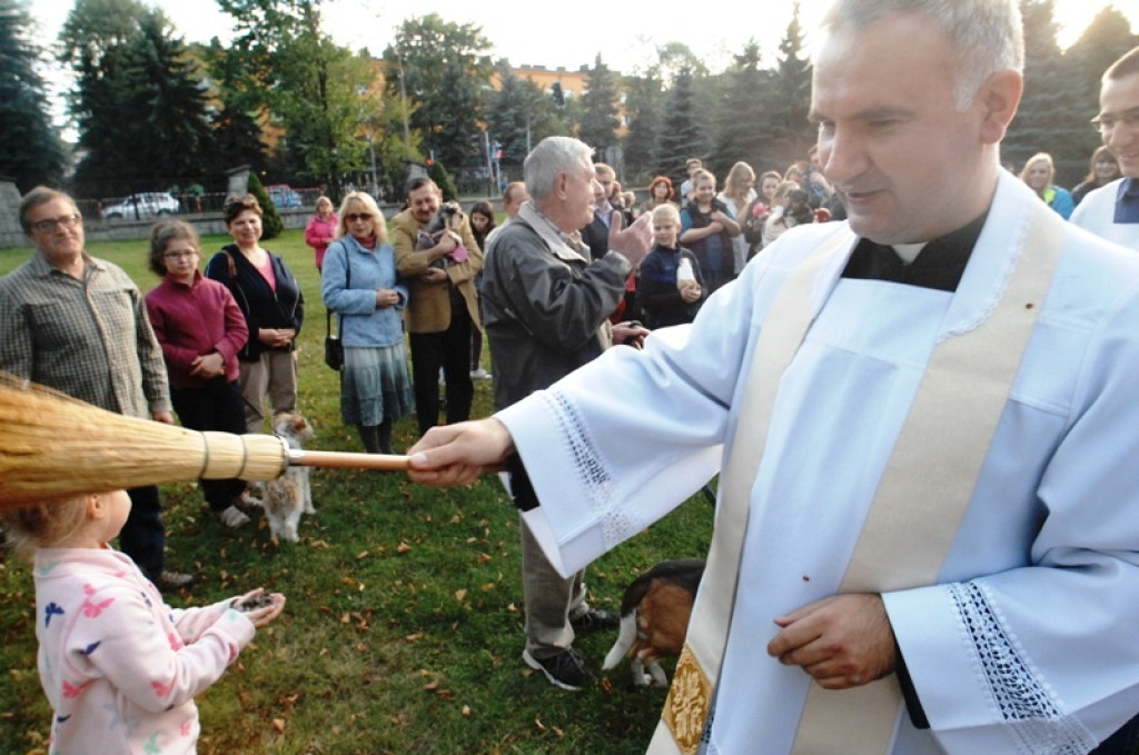 Światowy Tydzień Zwierząt rozpoczęty