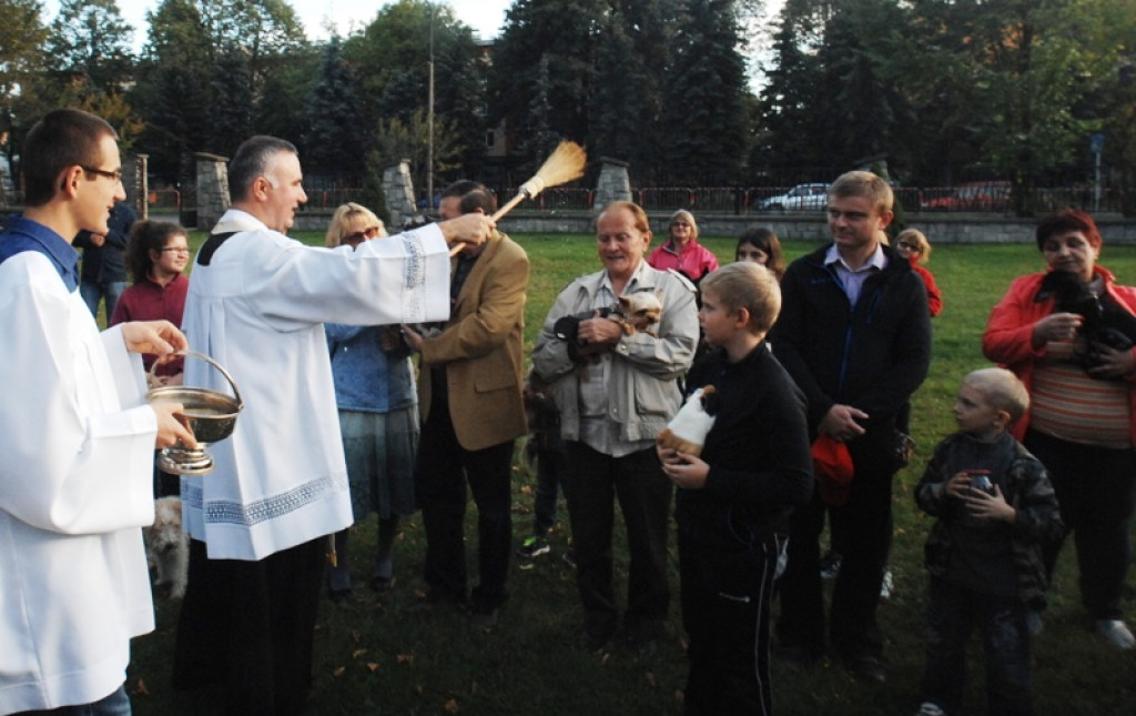 Światowy Tydzień Zwierząt rozpoczęty