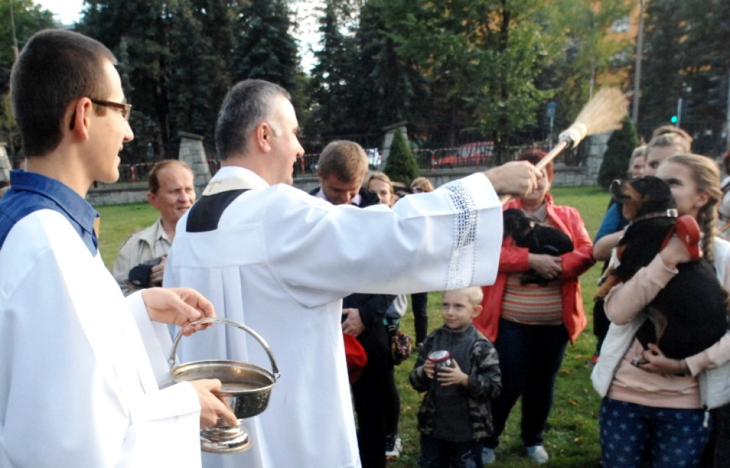 Światowy Tydzień Zwierząt rozpoczęty