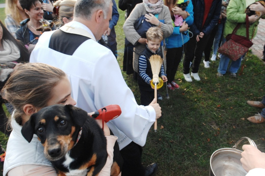 Światowy Tydzień Zwierząt rozpoczęty