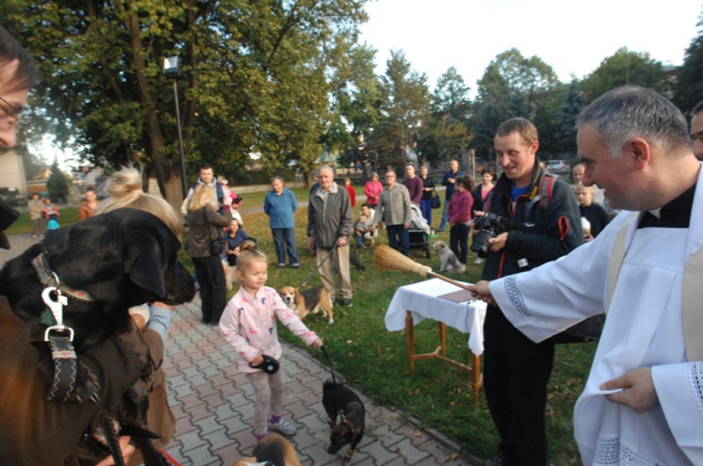 Światowy Tydzień Zwierząt rozpoczęty
