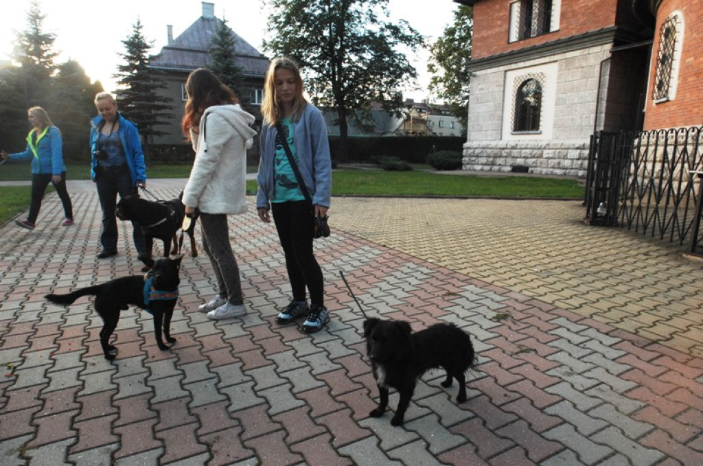Światowy Tydzień Zwierząt rozpoczęty