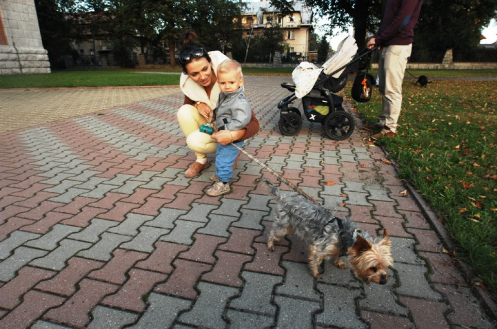 Światowy Tydzień Zwierząt rozpoczęty