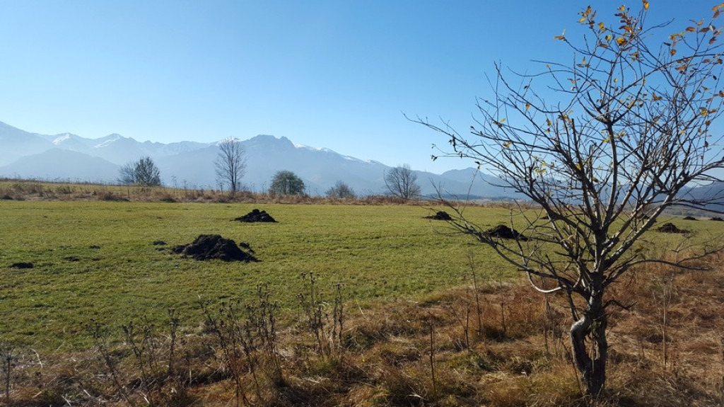 Opustoszałe Tatry