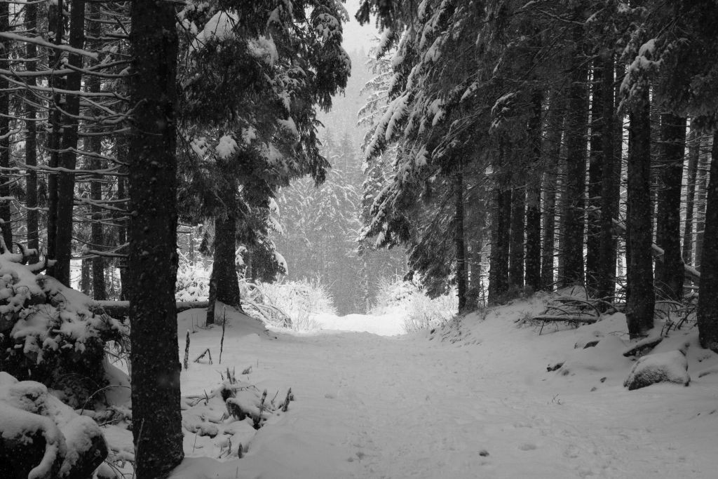 Tatry w biało-czarnej odsłonie