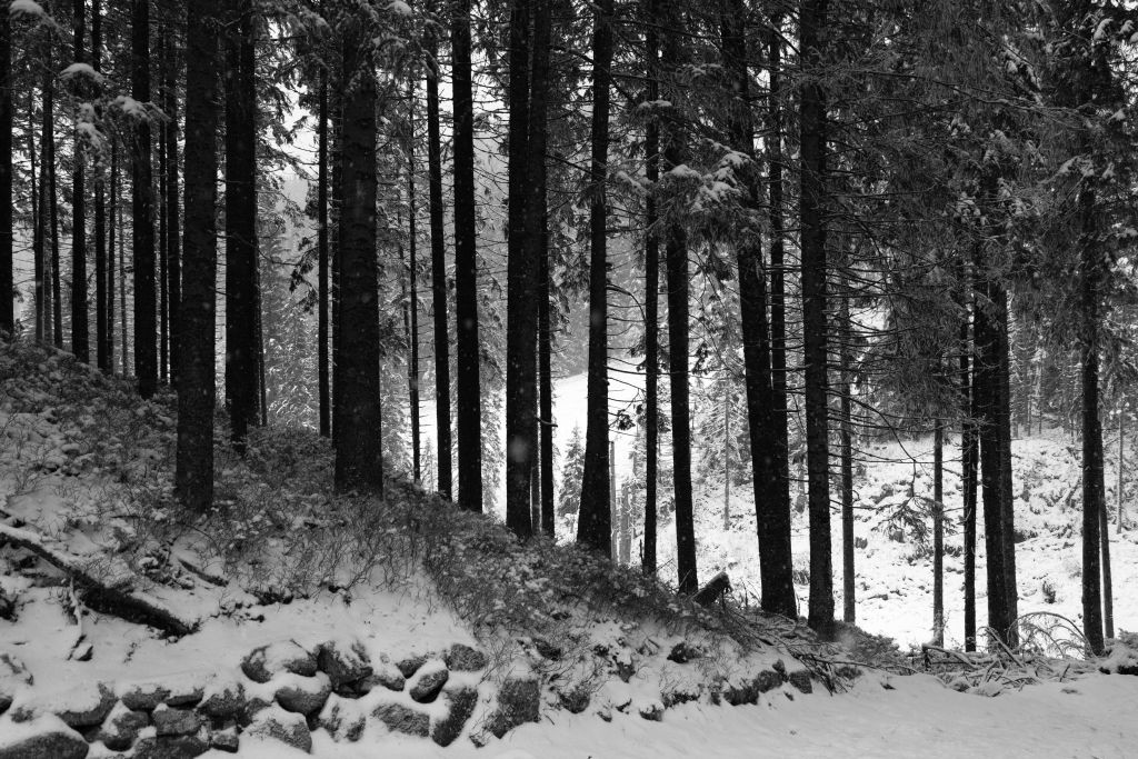 Tatry w biało-czarnej odsłonie