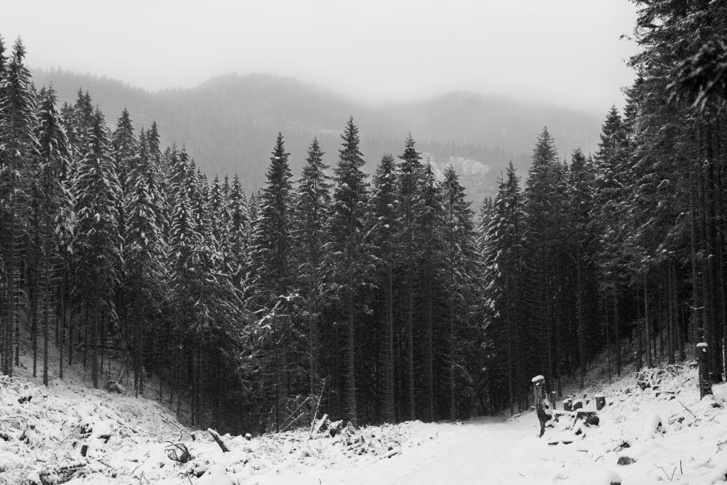 Tatry w biało-czarnej odsłonie