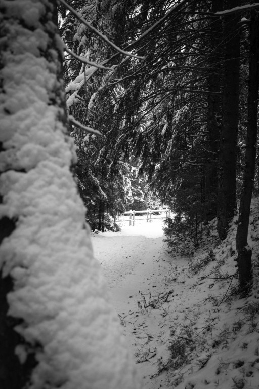 Tatry w biało-czarnej odsłonie