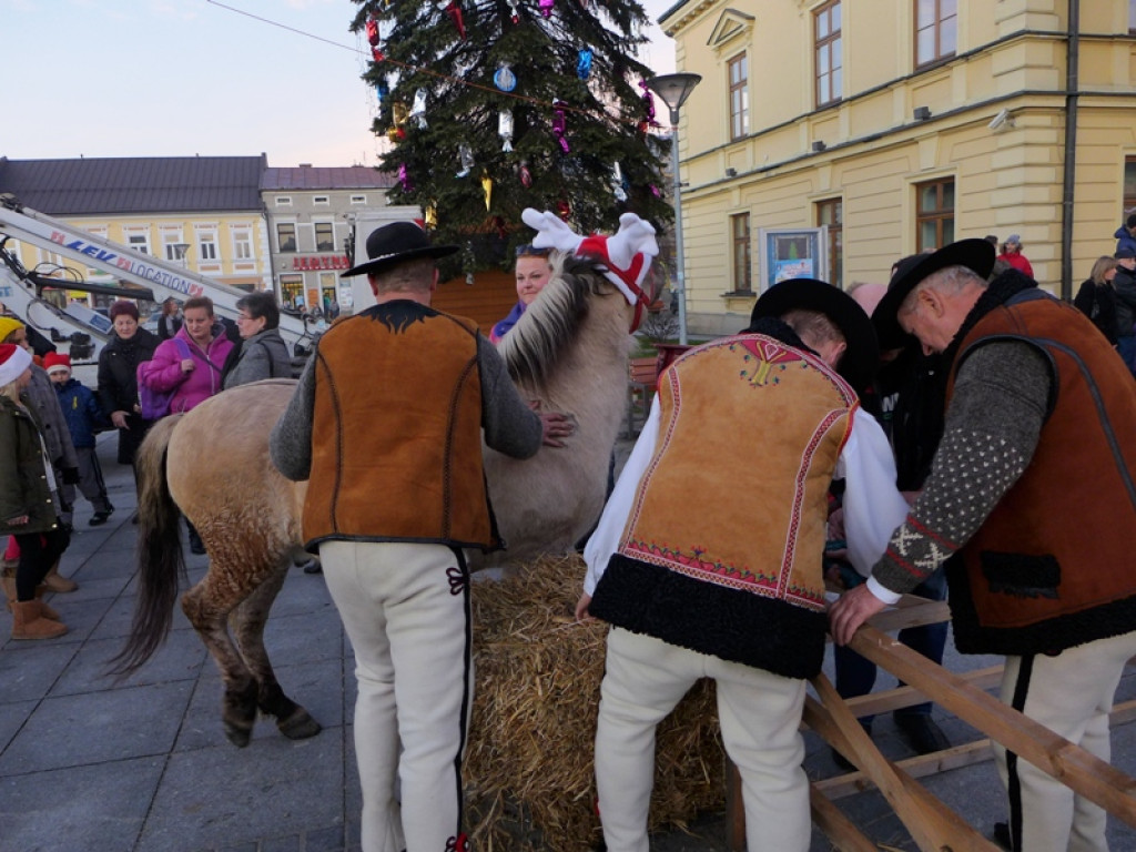Mikołajowe szaleństwo w Nowym Targu
