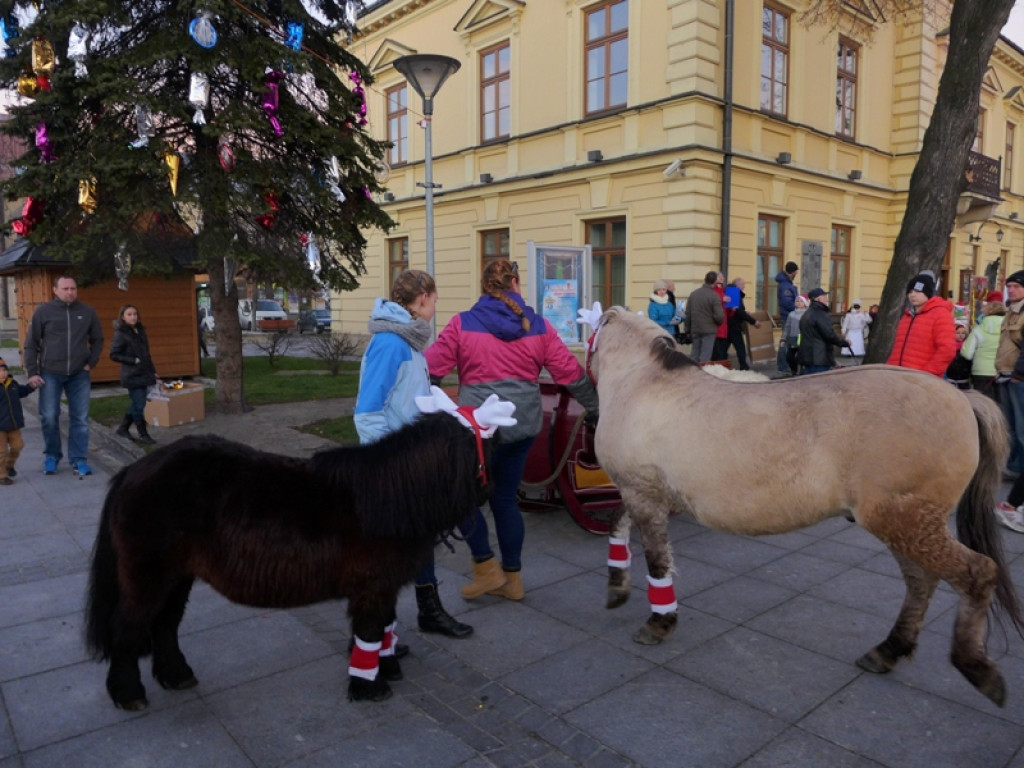 Mikołajowe szaleństwo w Nowym Targu