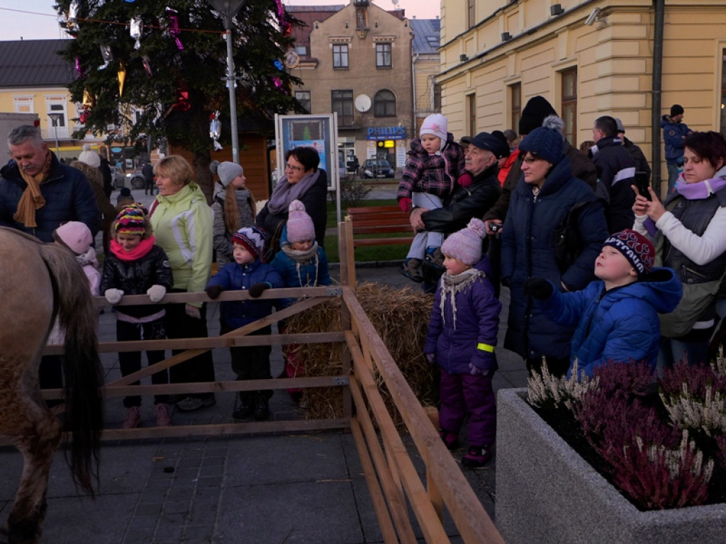 Mikołajowe szaleństwo w Nowym Targu