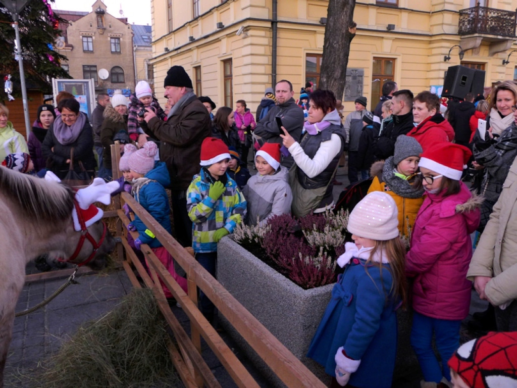 Mikołajowe szaleństwo w Nowym Targu