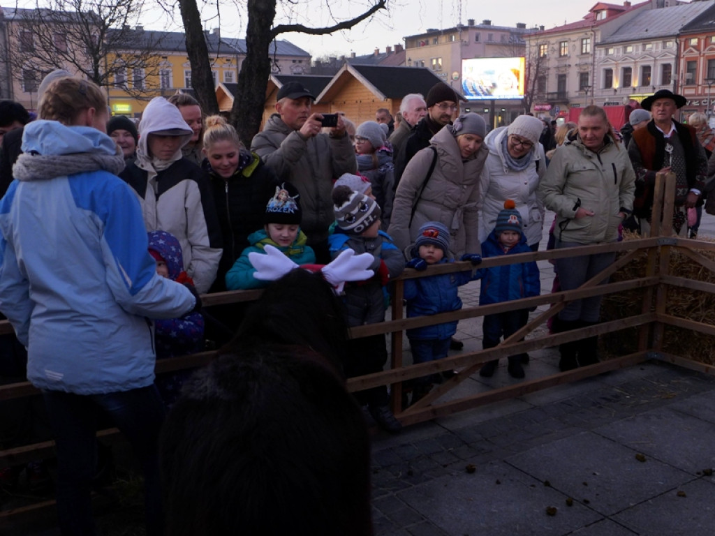 Mikołajowe szaleństwo w Nowym Targu