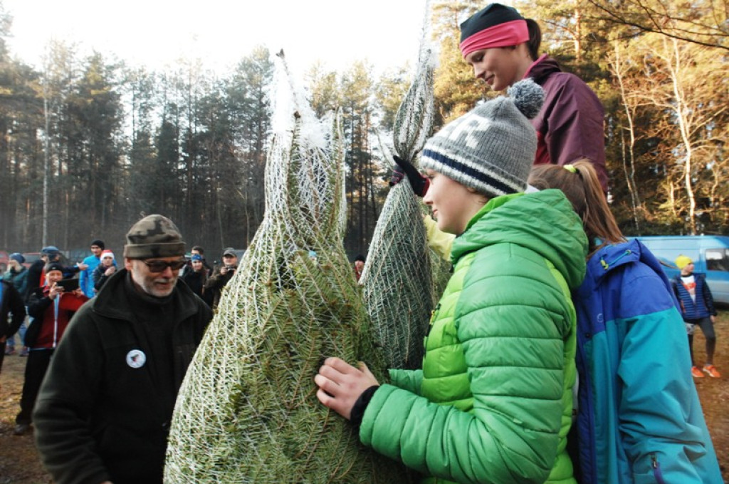 Bieg po choinkę w Borze Nowotarskim