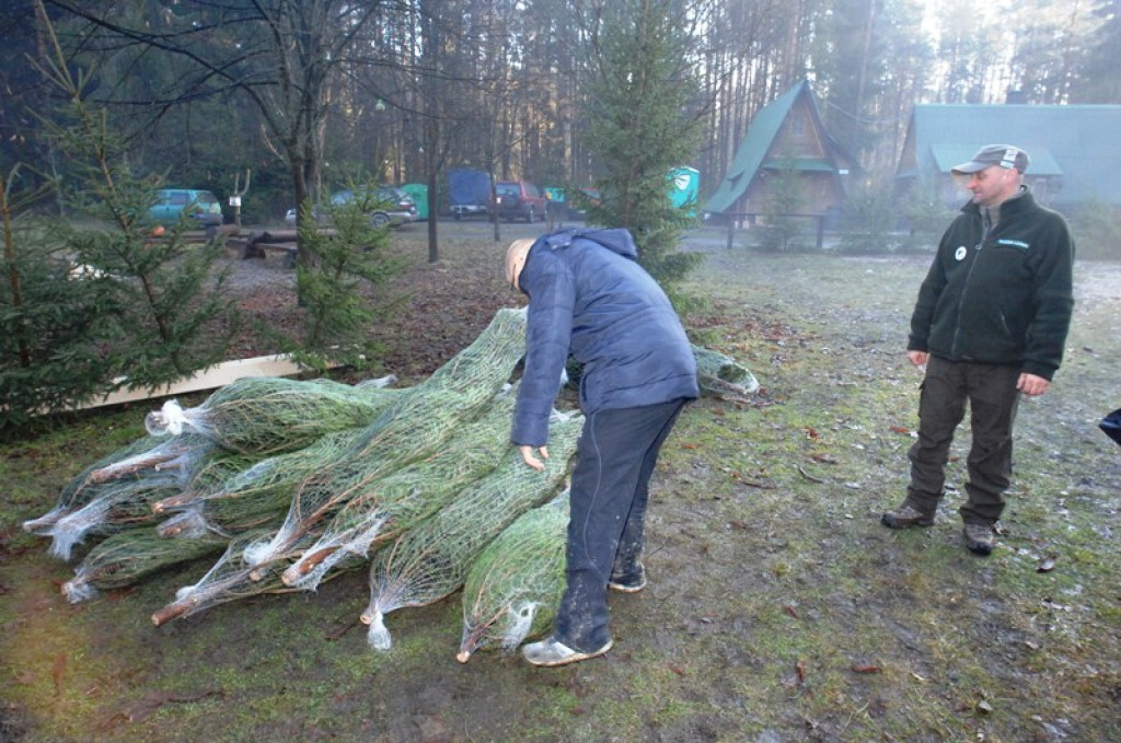 Bieg po choinkę w Borze Nowotarskim