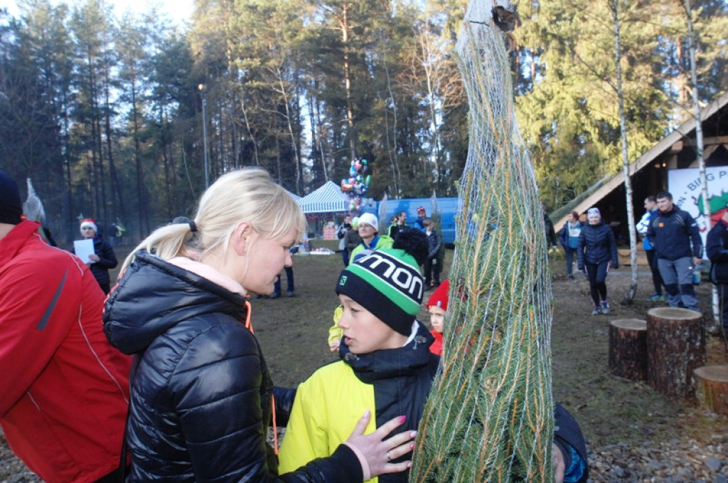 Bieg po choinkę w Borze Nowotarskim