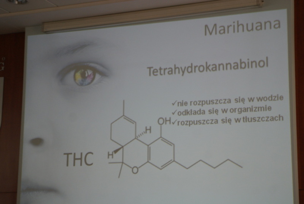 Nowotarscy gimnazjaliści w programie „Archipelag skarbów”